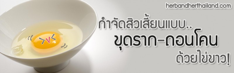 กำจัดสิวเสี้ยนแบบ “ขุดราก-ถอนโคน” ด้วยไข่ขาว!